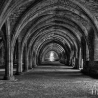 cellarium fountains abbey